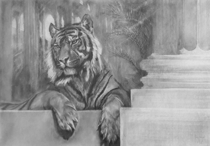 Sumatran Tiger drawing
