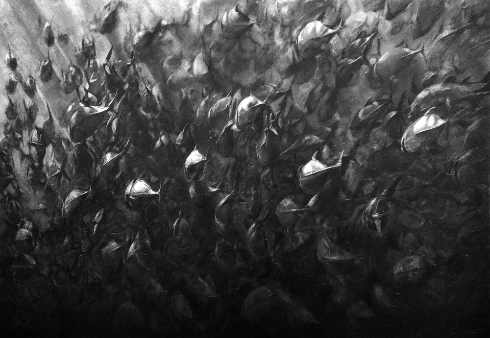 Pencil drawing of a shoal of fish, swimming away from the viewer