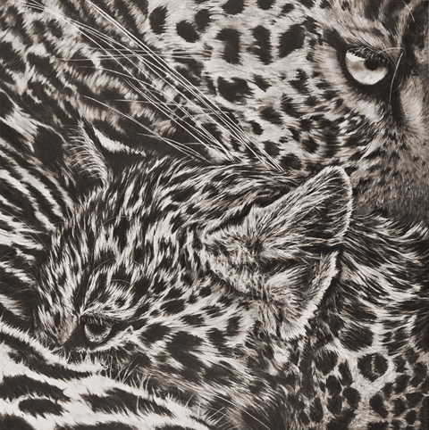 Drawing - adult leopard with cub