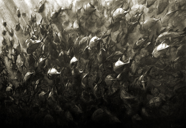 A shoal of oceanic tuna